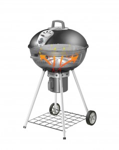 Napoleon Holzkohlegrill