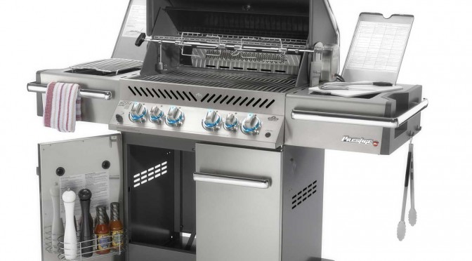 Napoleon Video Prestige Pro 500