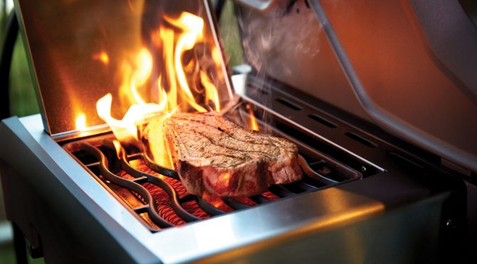 Napoleon Rogue 525 SE